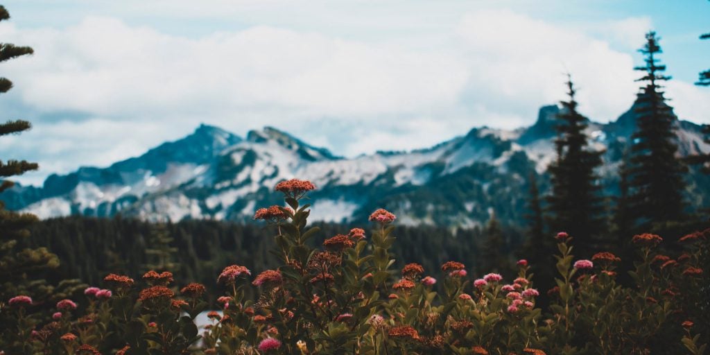 Mount Rainier in Washington