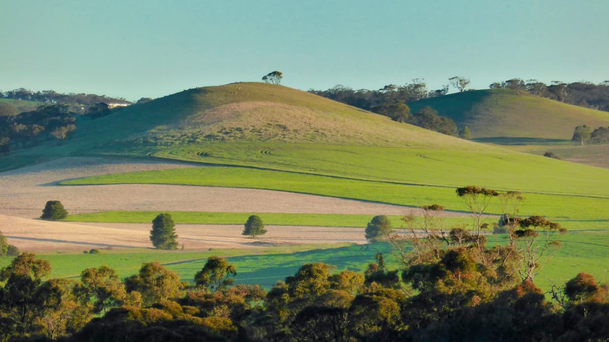 Driving from Adelaide to Sydney Everything you need to know for the perfect road trip Field