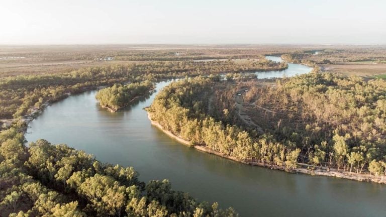 A drone shot of the winding murray river, a popular stop when driving from Adelaide to Sydney