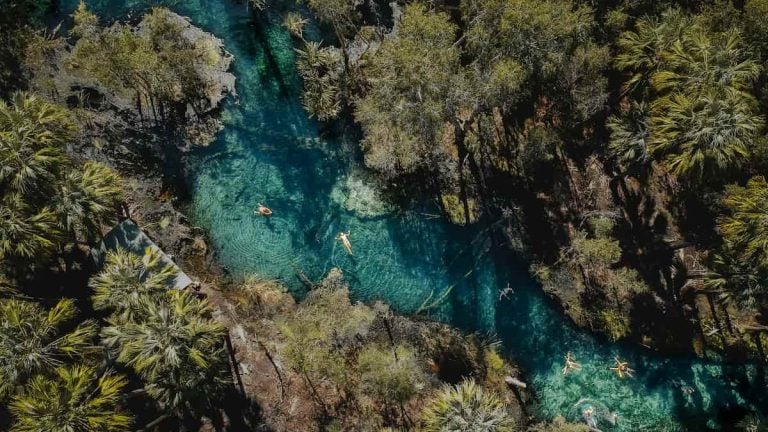 Mataranka Thermal Pool, a must-visit destination on the Darwin to Alice Springs road trip