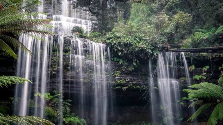 Russell Falls, a popular road trip stop along the Strahan to Hobart drive.