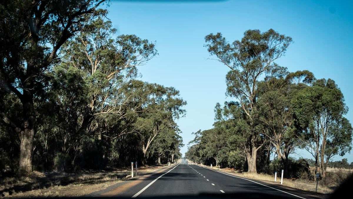 Adelaide to Canberra drive The best road trip route Turo