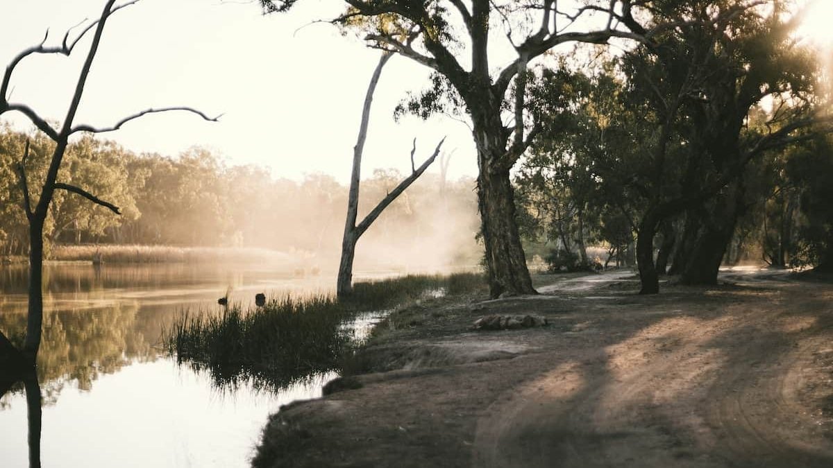 A scenic swimming spot in Narrandera, NSW, on the way to Canberra from Adelaide