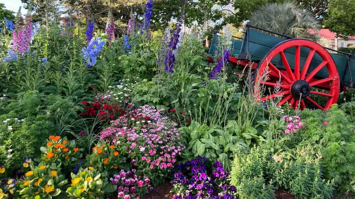 Don't miss the Carnival of Flowers if you're looking for things to do in Toowoomba