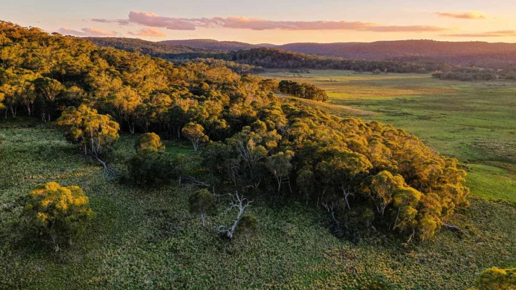 Hunter Valley to Muswellbrook Road Trip Guide. Barrington Tops National Park