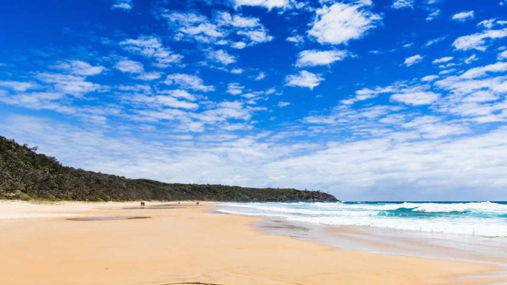 Sunshine Coast's Best Lookouts. A beach in Noosa National Park