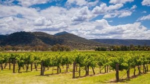 Hunter Valley to Muswellbrook: The ultimate drive guide.