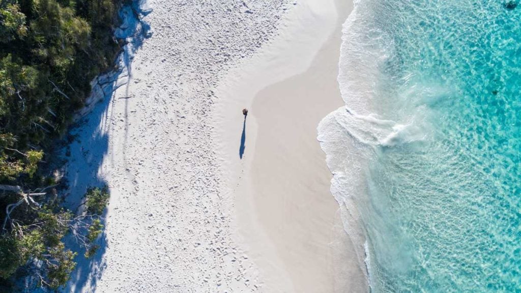 Jervis Bay is known for its pristine beaches, turquoise waters, and abundant marine life