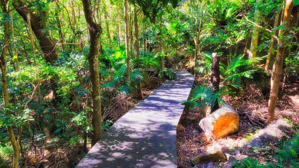Minnamurra Rainforest