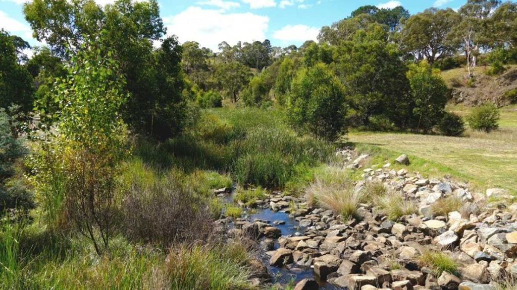 Great Alpine Road road trip. Omeo