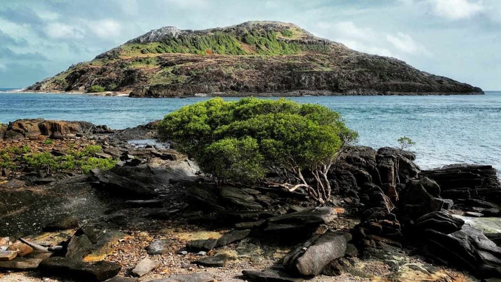 Cape York