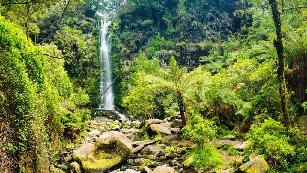 Erskine Falls
