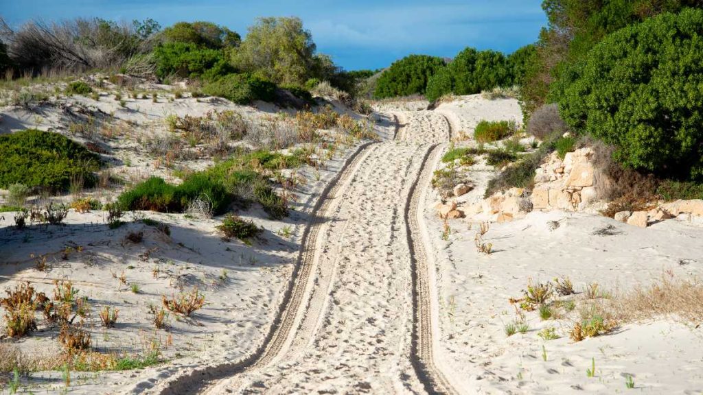 Eucla National Park