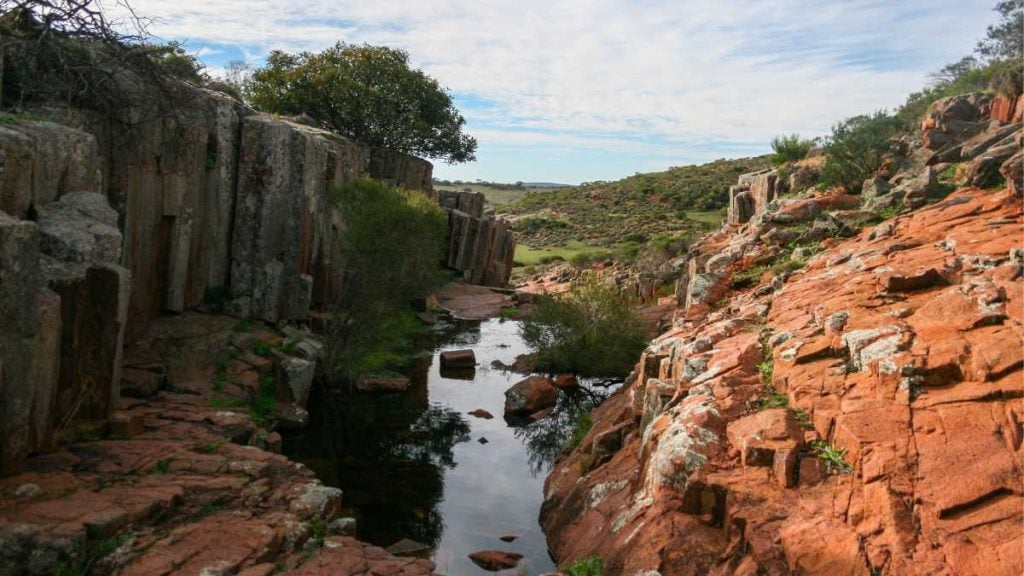 Gawler Ranges National Park