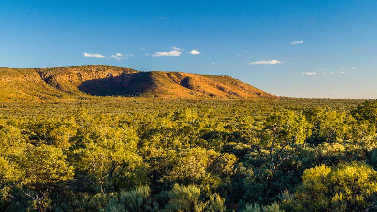 Gundabooka National Park