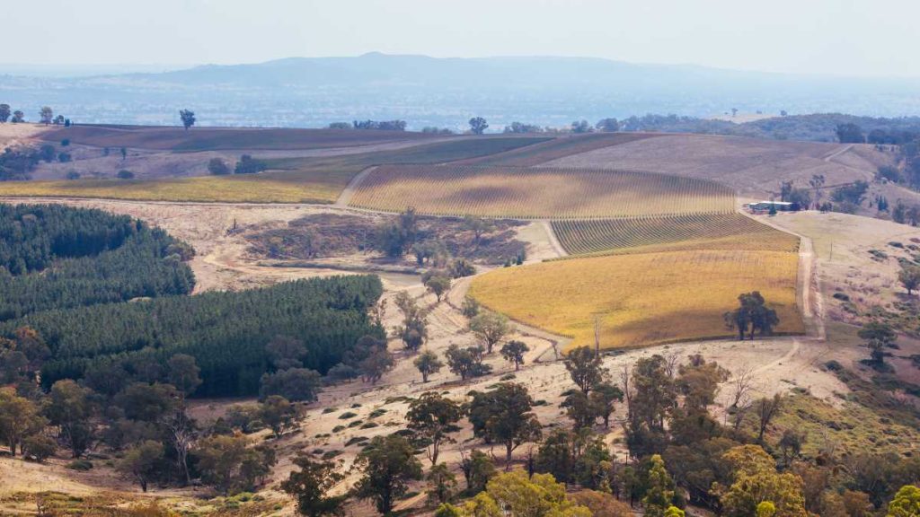 King Valley