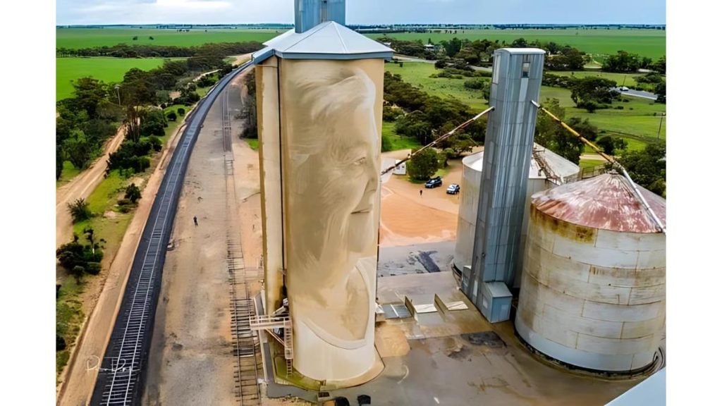 Exploring the Victorian Silo Art Trail: A Road Trip Guide for 2024. Lascelles silo art by Rone