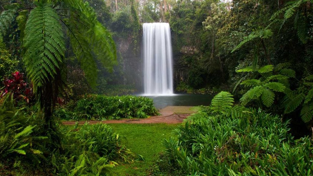 Millaa Milla Falls