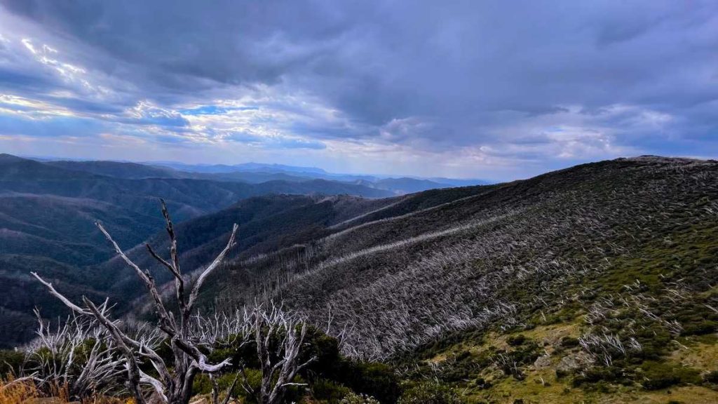 How to get from Melbourne to Mt Hotham: The ultimate guide. Mount Hotham in the summers
