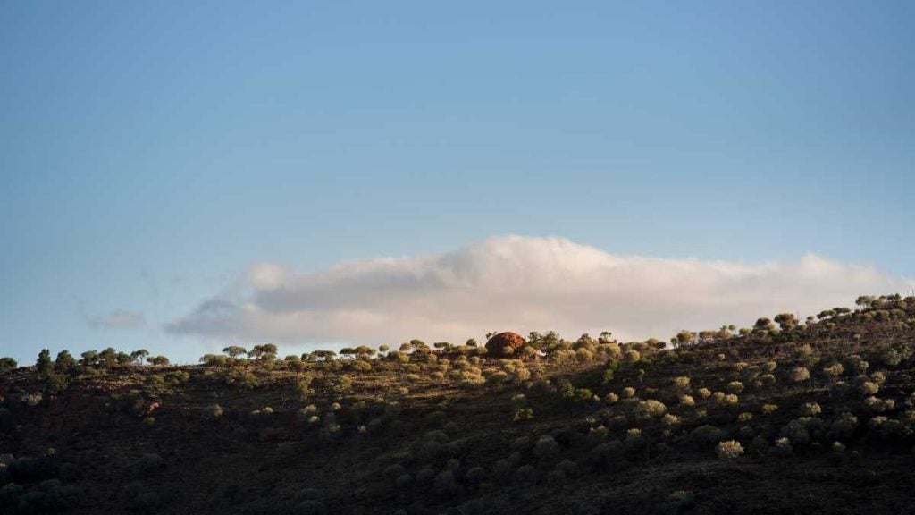 Mutawintji National Park