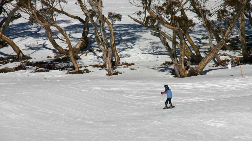 Getting from Sydney To Perisher: All you need to know | Turo