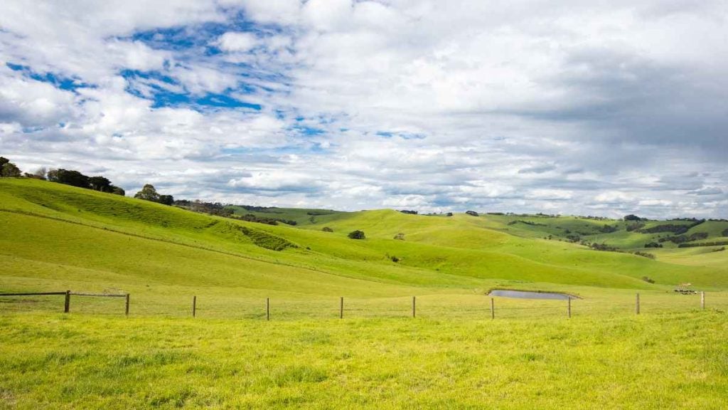 Strzelecki Ranges