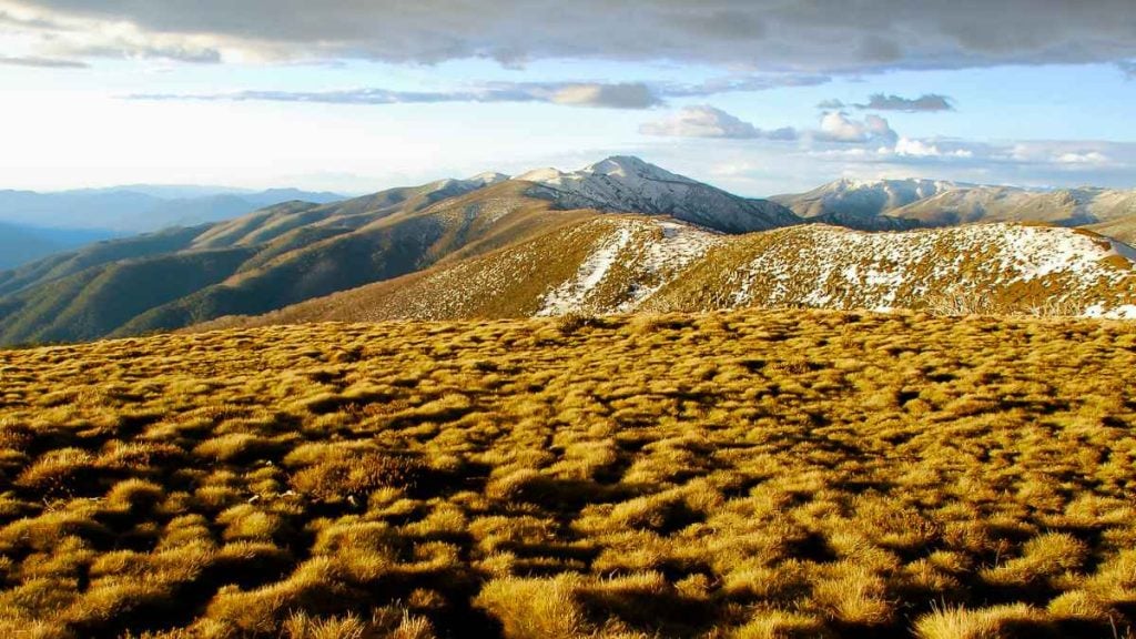 Victorian Alps