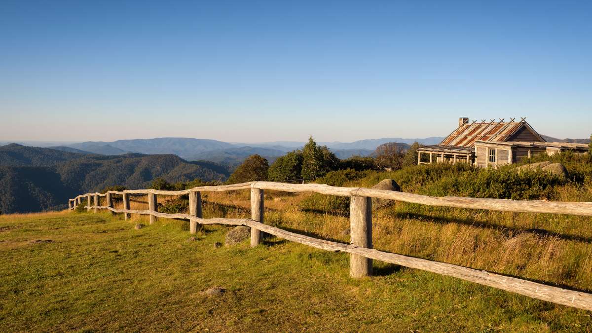 Harrietville to Mt Hotham: Everything you need to know. Victorian Alps, Australia.