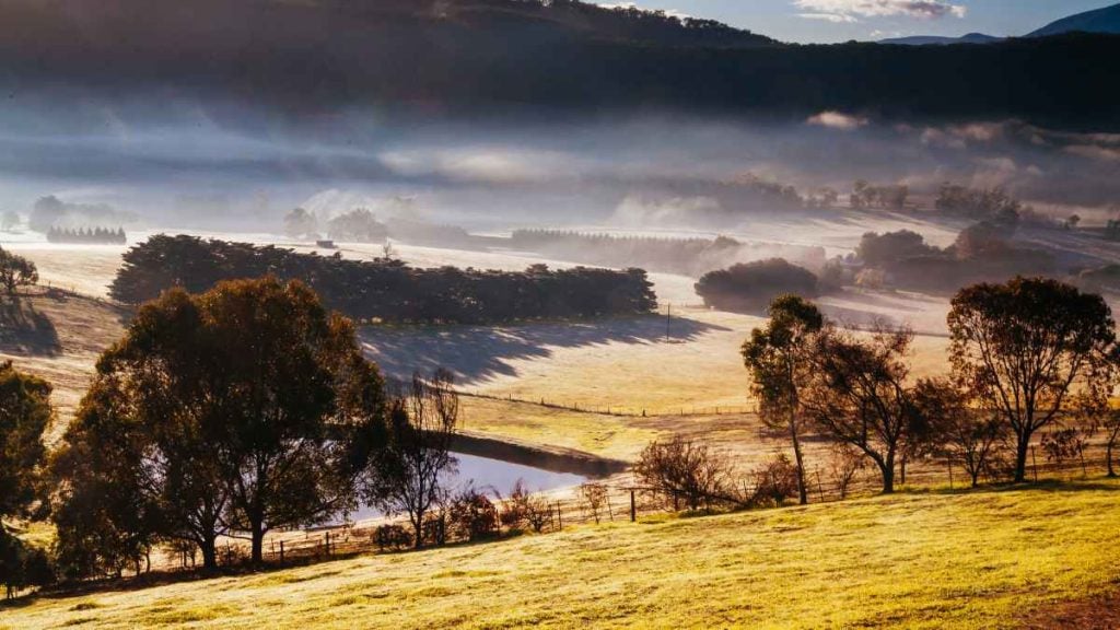 The best scenic drives in Melbourne: A 2024 guide. Yarra Valley