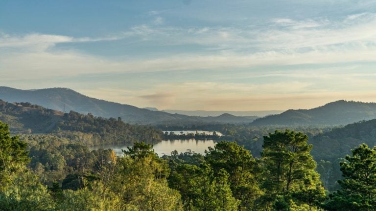 The best scenic drives in Melbourne: A 2024 guide. Yarra Valley