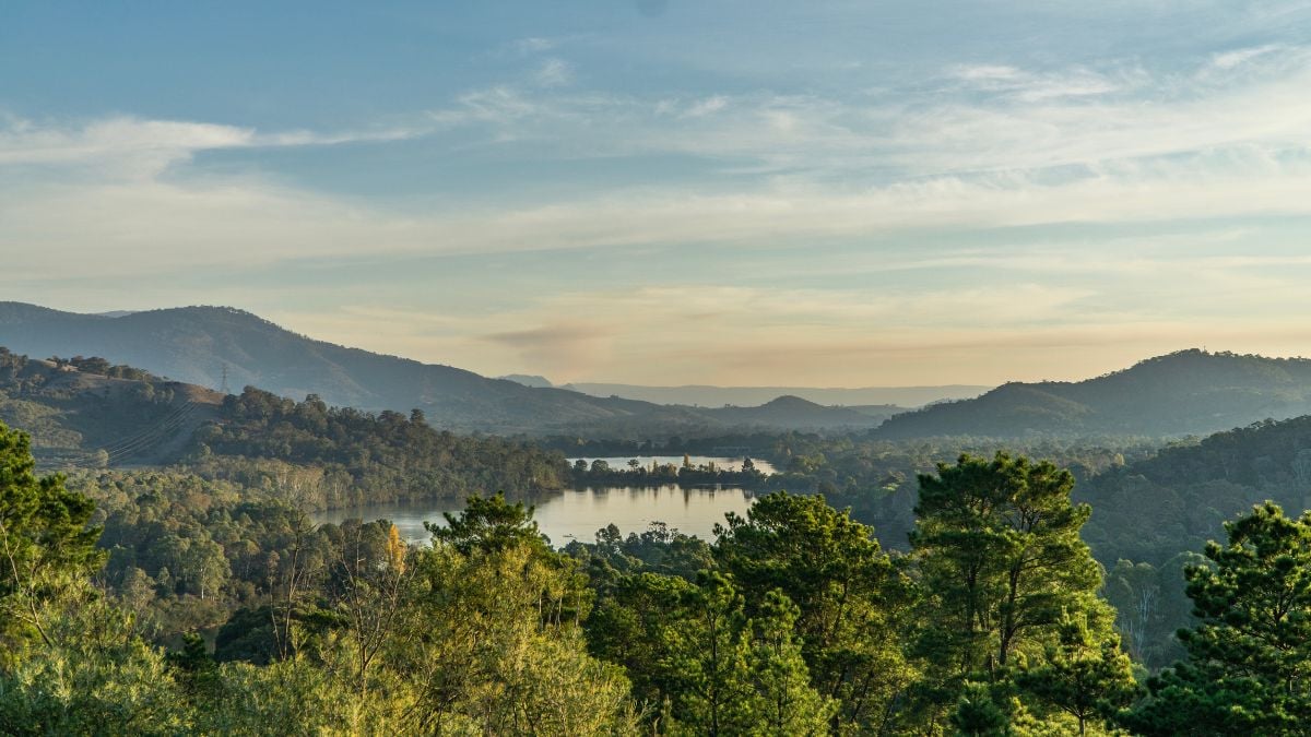 The best scenic drives in Melbourne: A 2024 guide. Yarra Valley