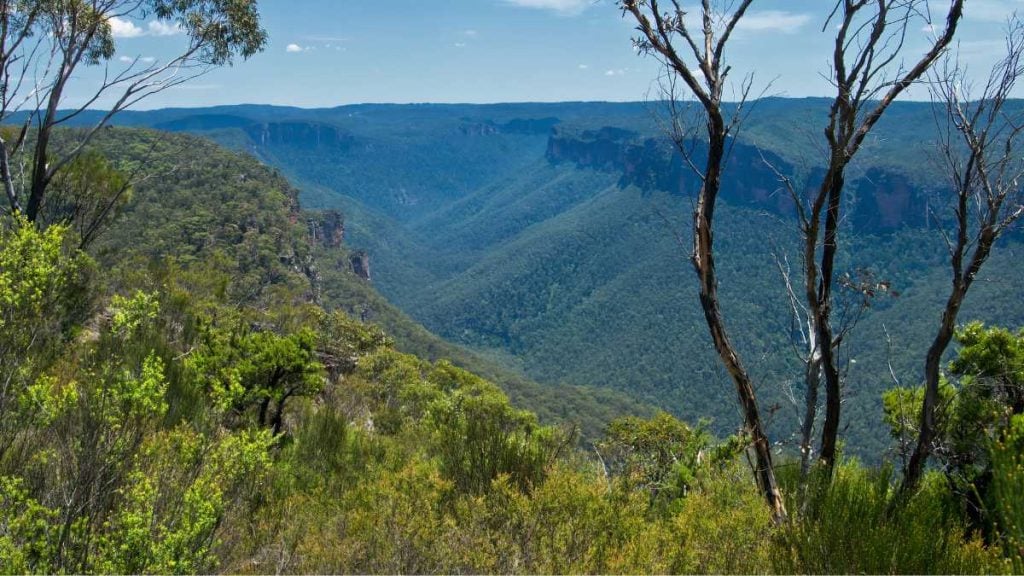 10 Incredible Blue Mountain Lookouts Accessible By Car. Anvil Rock Lookout