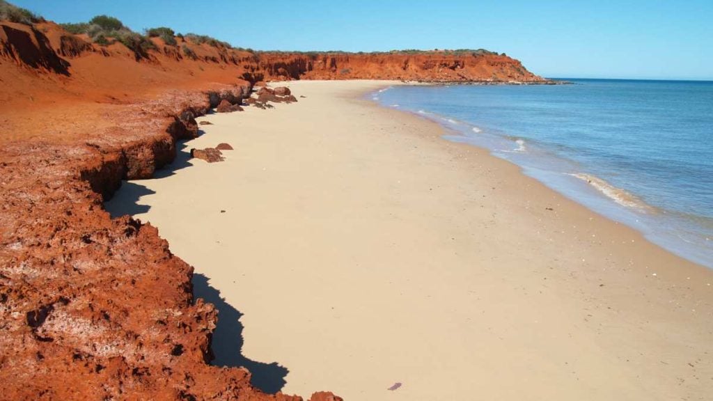 Shark Bay, WA