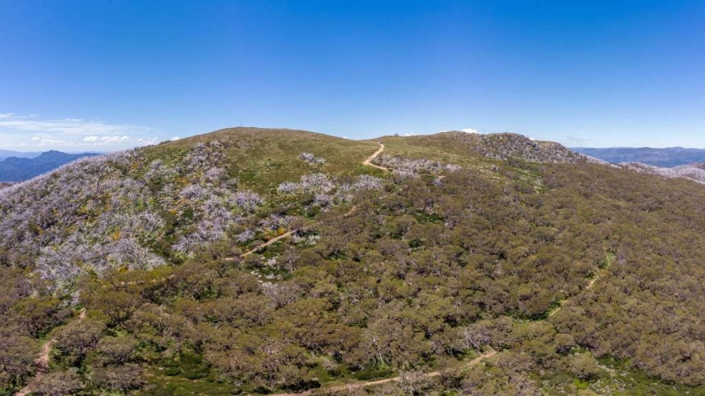 Summer view from Mt Stirling towards Mt Buller and the Victorian Alps in Australia