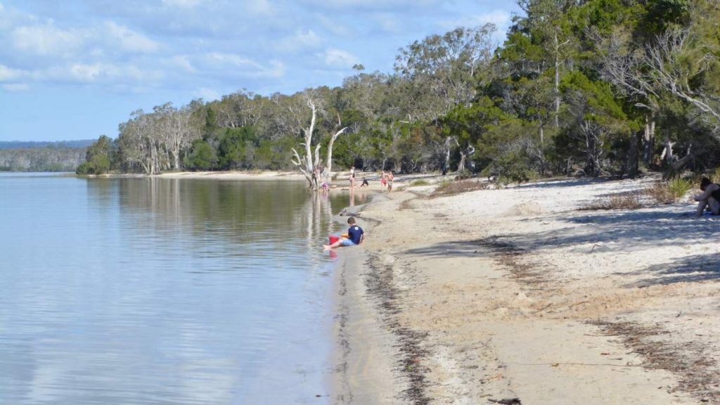 10 Best Attractions in Hervey Bay in 2024. Great Sandy Strait