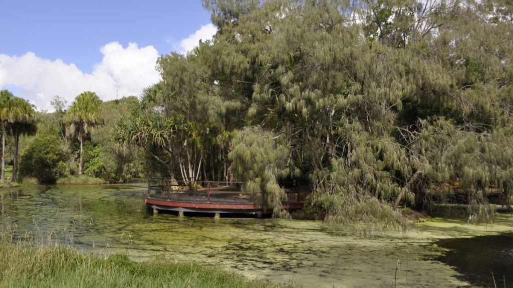 10 Must-See Attractions in Hervey Bay. Hervey Bay Botanic Gardens