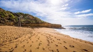 30 of the best things to do in Torquay