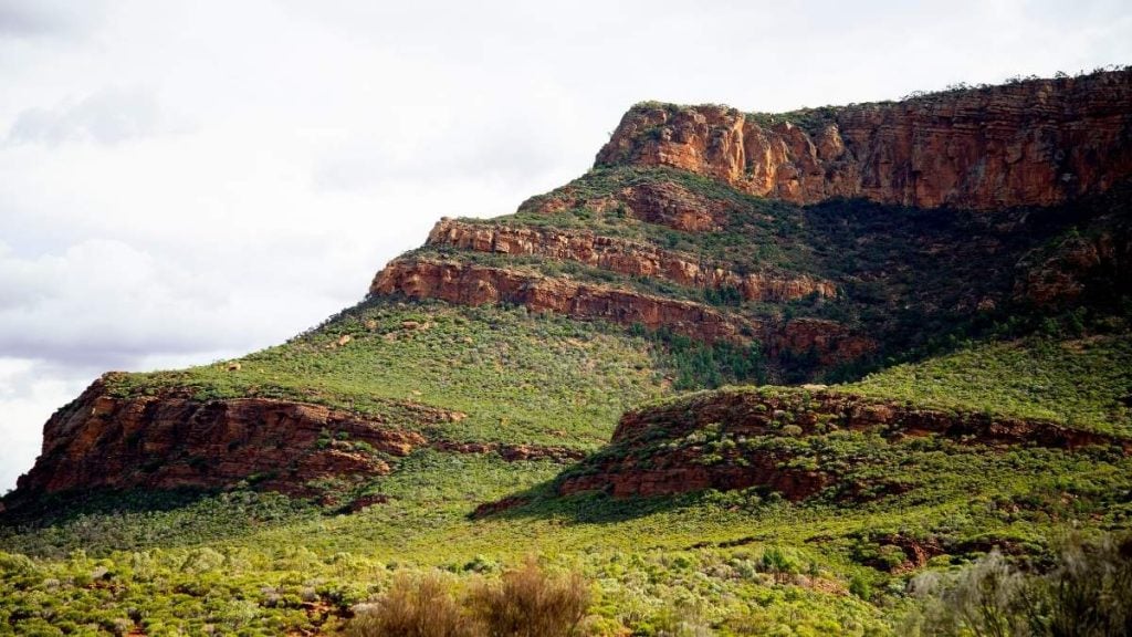 Flinders Ranges National Park