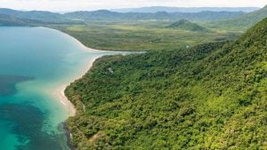 Cairns to Cape Tribulation road trip: Your complete drive guide