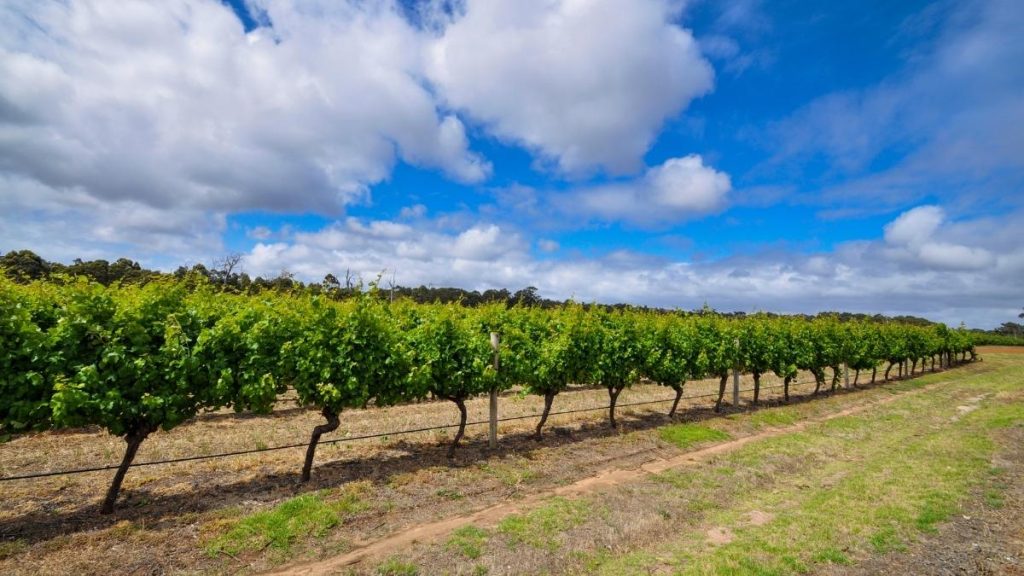 Margaret River
