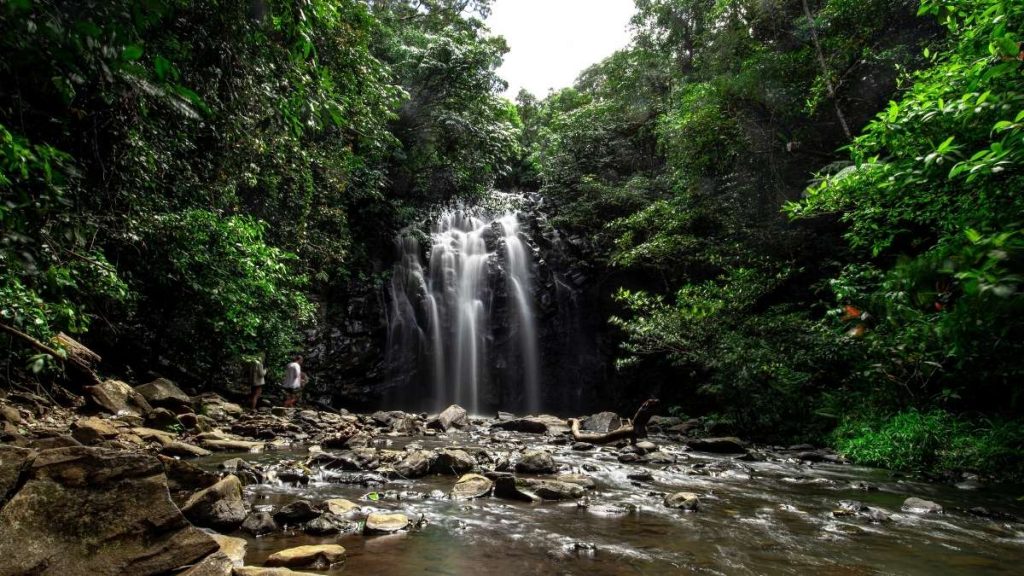 Ellinjaa Falls