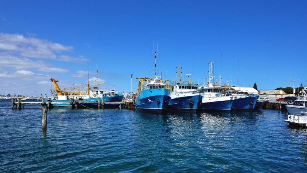 Fremantle Fishing Boat Harbour
