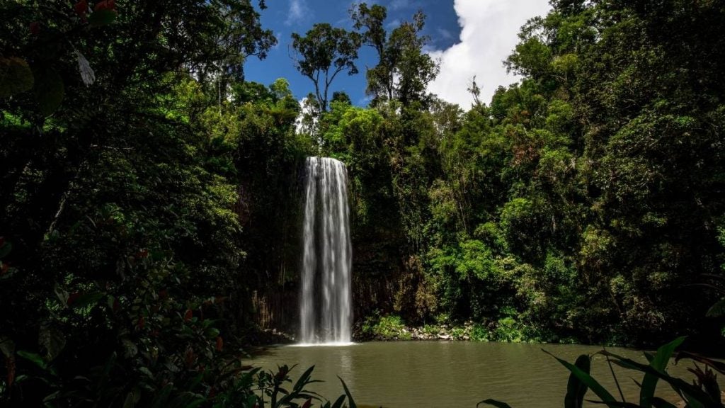 Millaa Millaa Falls