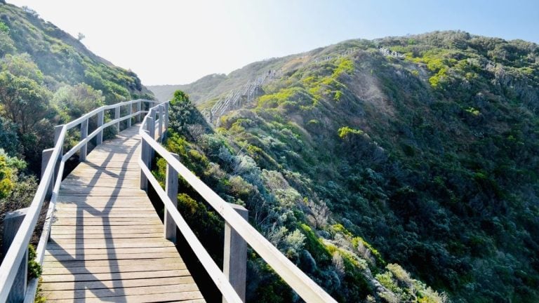 The 10 best things to do in Mornington Peninsula (2024)