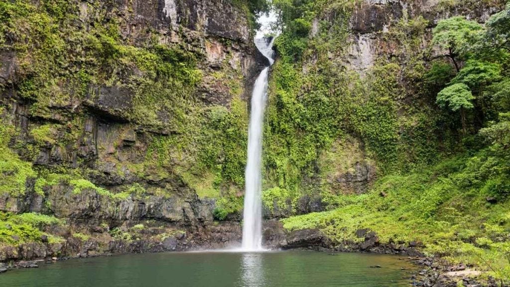 Atherton to Cairns: Everything you need to know. In picture: Nandroya Falls in Wooroonooran National Park, QLD