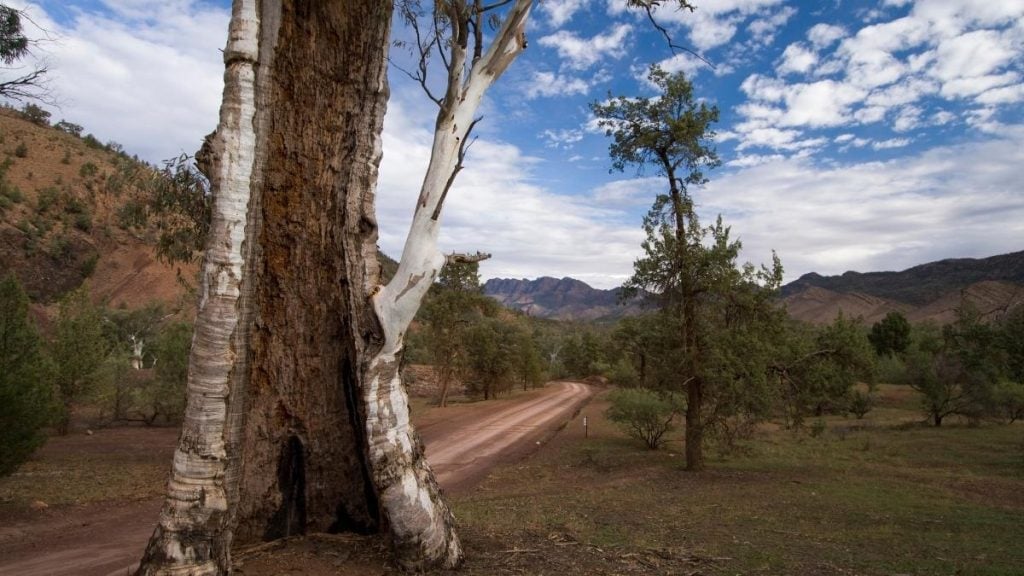 Road leading to Bunyeroo Gorge in South Australia's Flinders Ranges