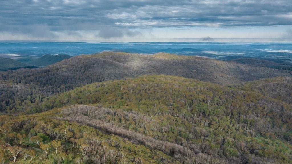 Aerial view from Mount Canobolas in the New South Wales town of Orange