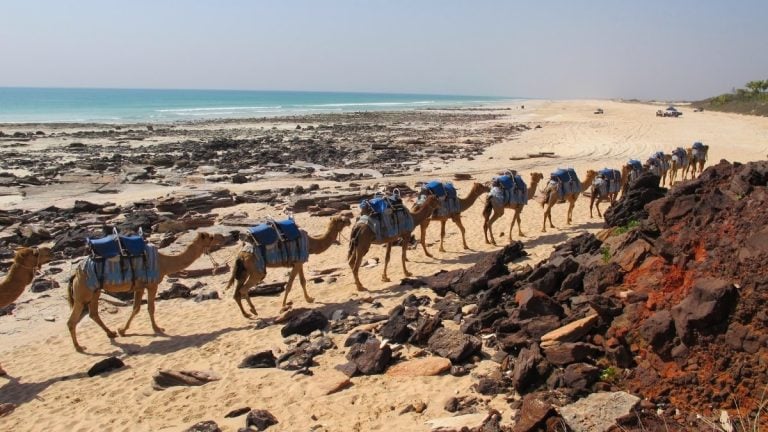 The 10 best things to do in Broome (2024)