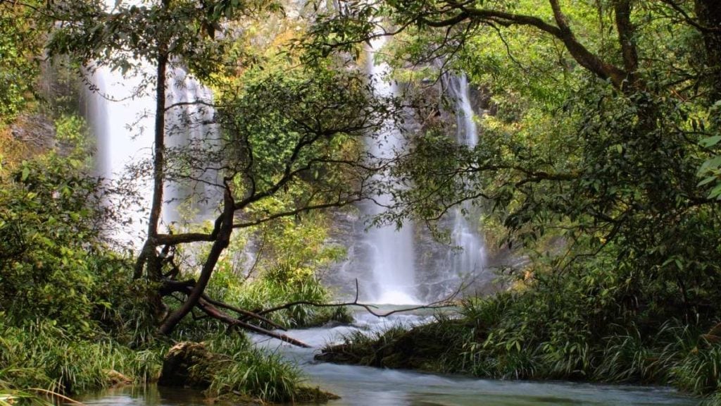 Cassowary Falls, Daintree Area, Far North Queensland, Australia