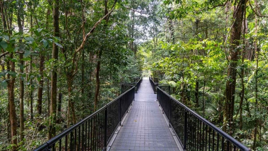 The 10 best things to do in Port Douglas (2024). In picture: Mossman gorge, Queensland